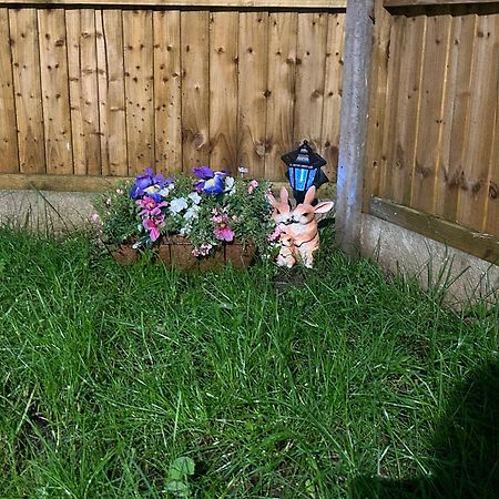 Comfortable Double Room & Single Room In Vibrant Hatfield Neighbourhood Exteriör bild